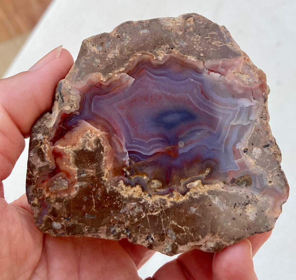 Agate Thunderegg Demi-Boule – Chihuahua, Mexique