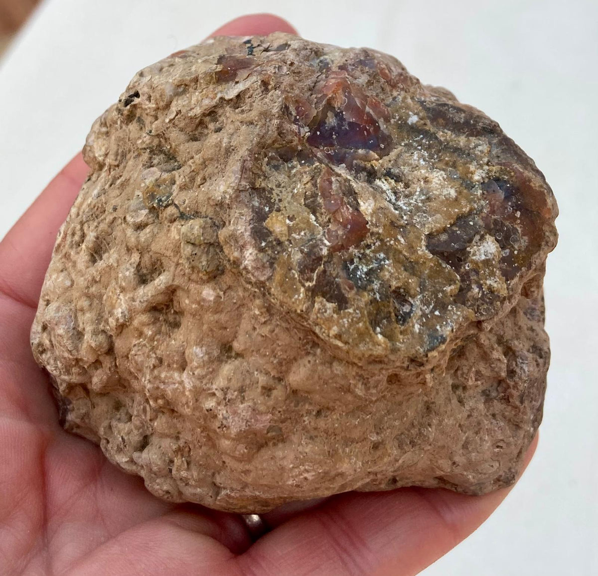 Agate Thunderegg Demi-Boule – Chihuahua, Mexique