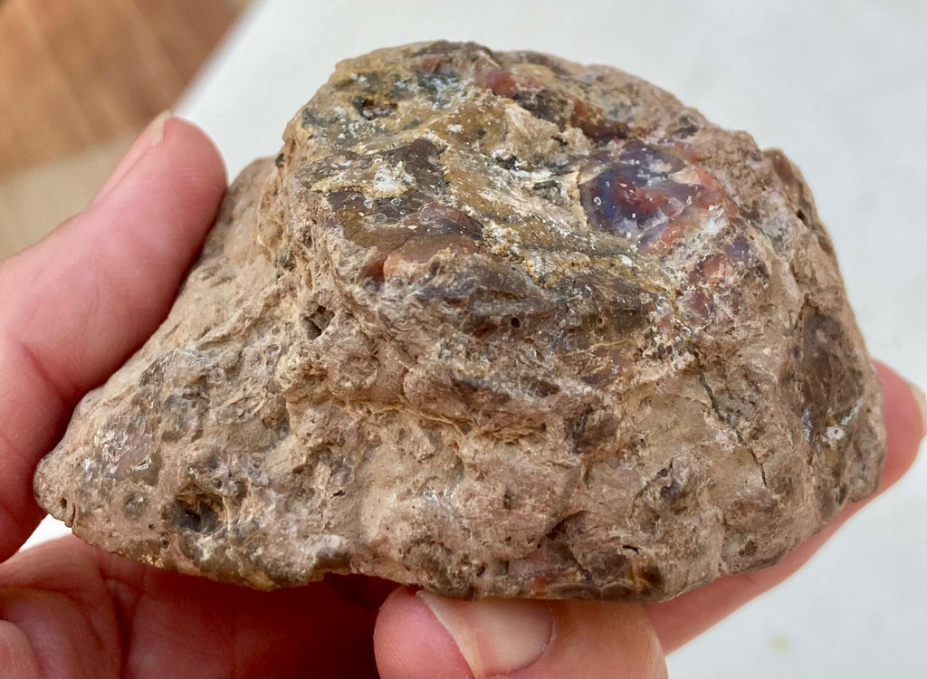 Agate Thunderegg Demi-Boule – Chihuahua, Mexique