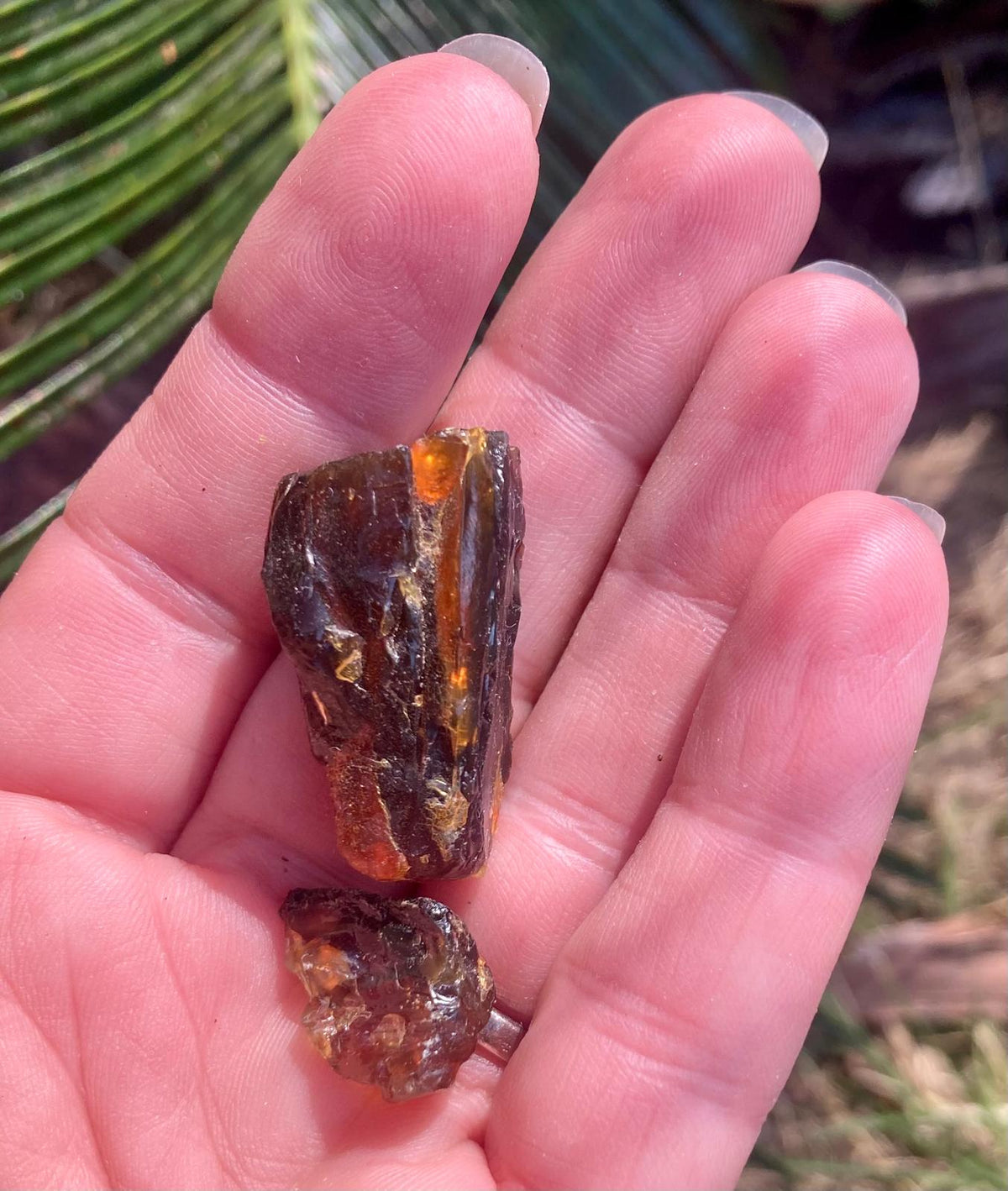 Ambre de Bornéo – Pièce Brute Naturelle