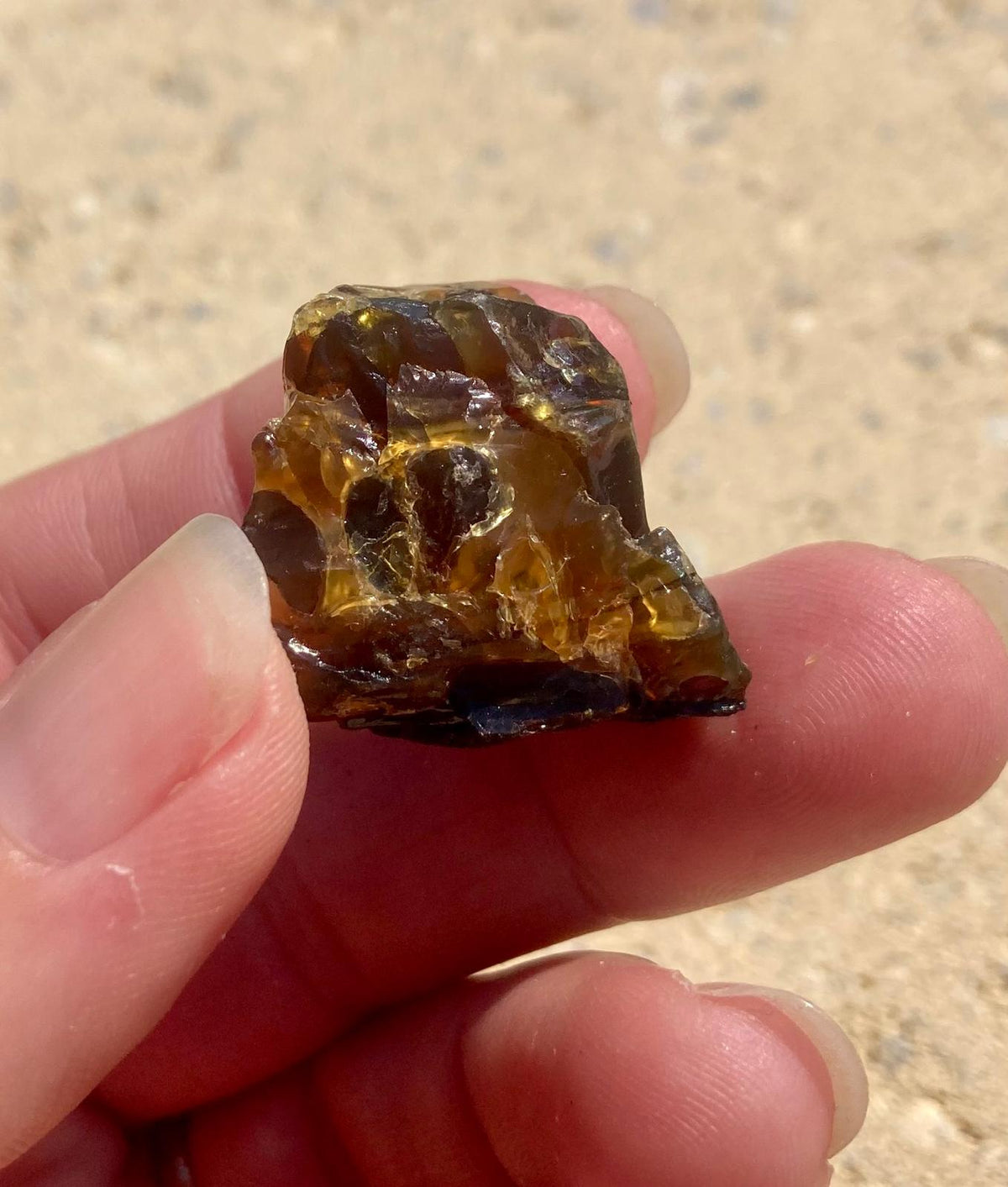 Ambre de Bornéo – Pièce Brute Naturelle