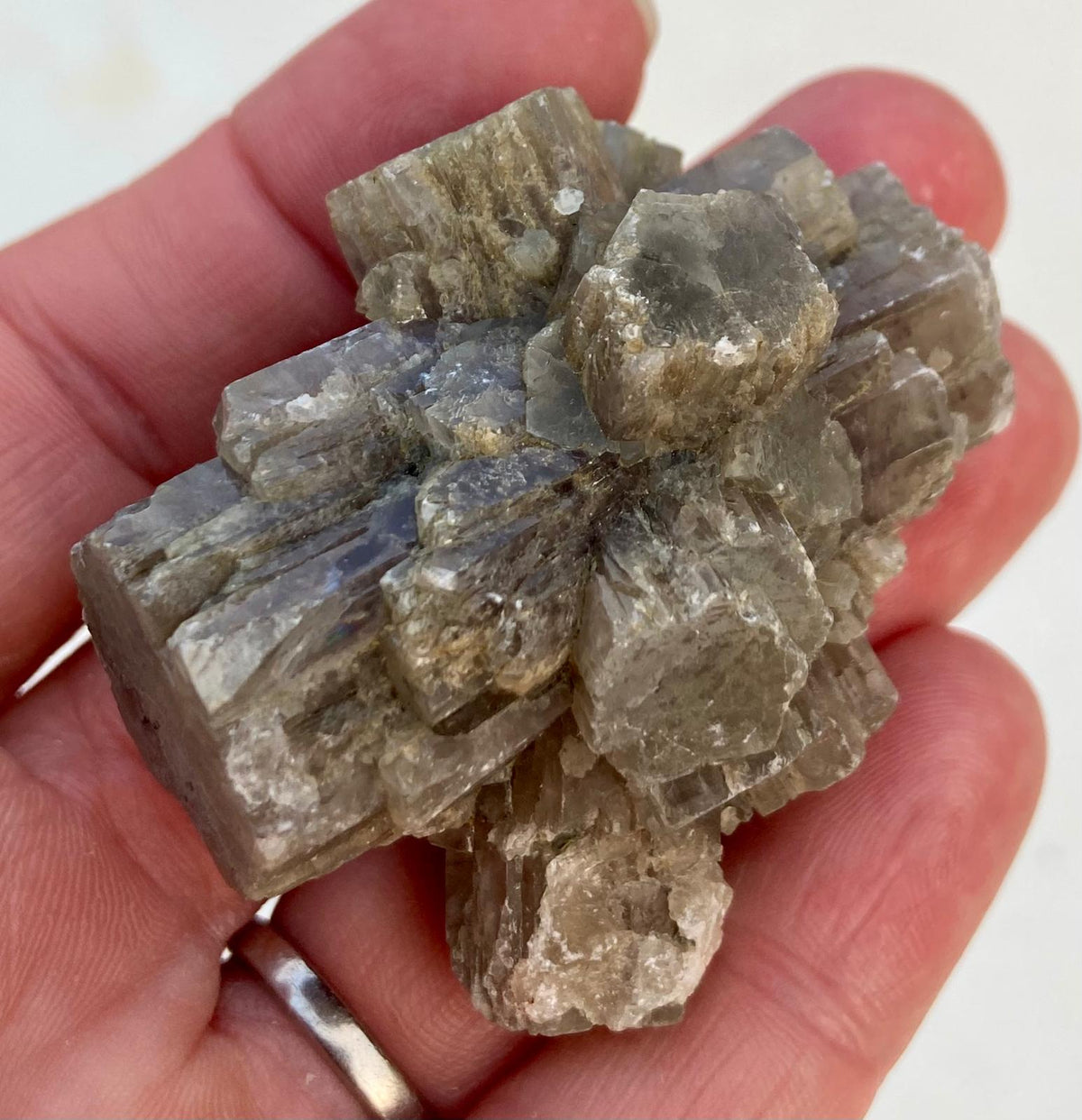 Aragonite Grise - Minéral brut