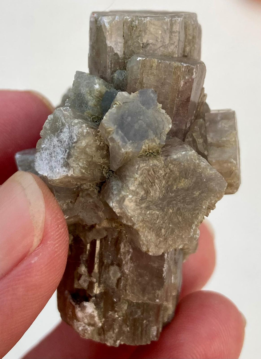Aragonite Grise - Minéral brut