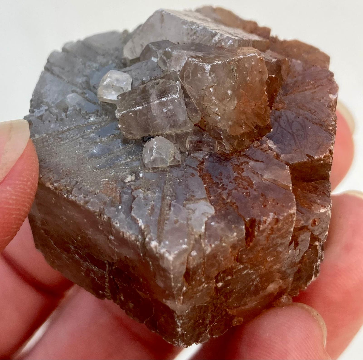 Aragonite Grise et Rouge - Minéral brut