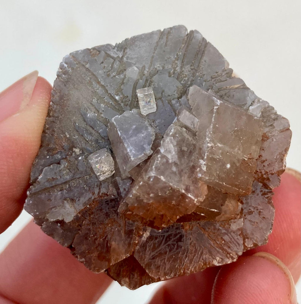 Aragonite Grise et Rouge - Minéral brut