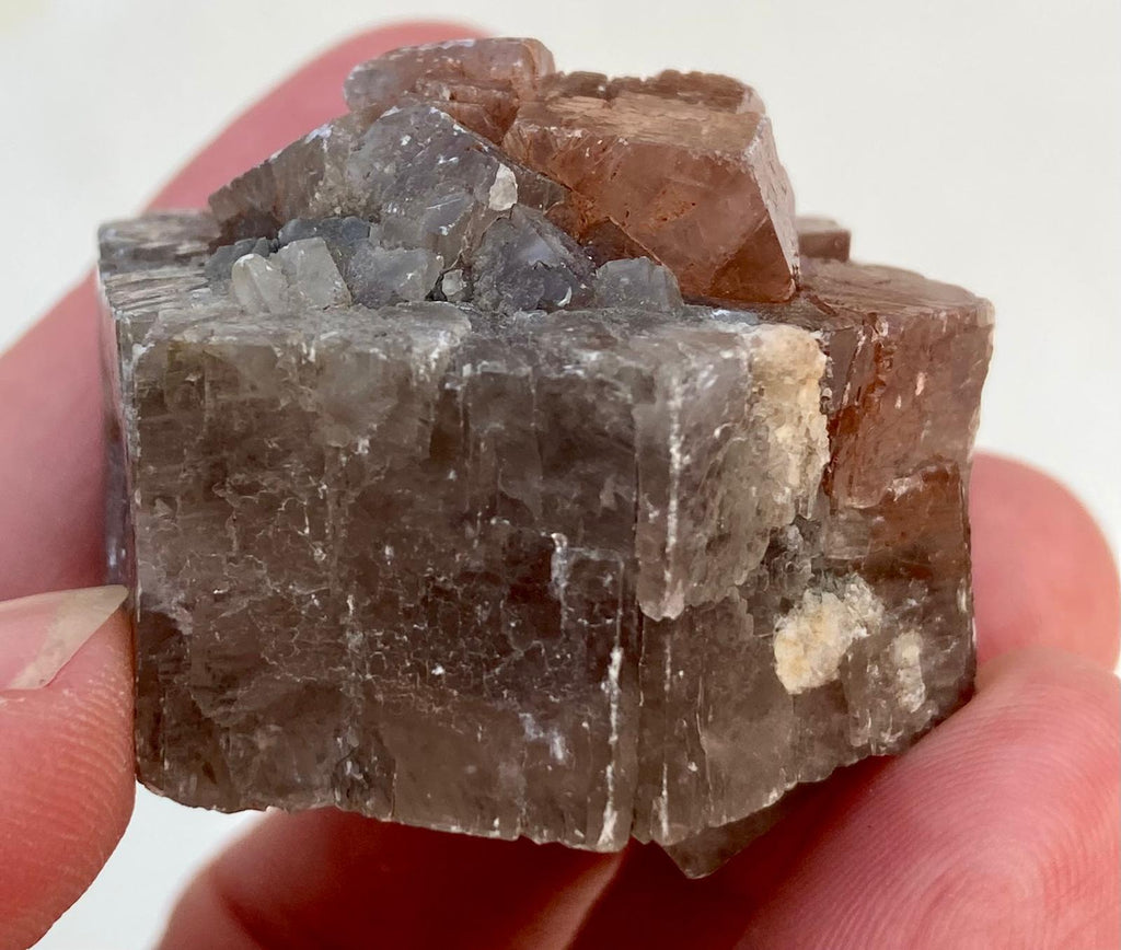 Aragonite Grise et Rouge - Minéral brut