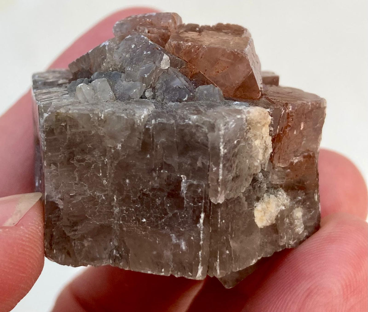 Aragonite Grise et Rouge - Minéral brut