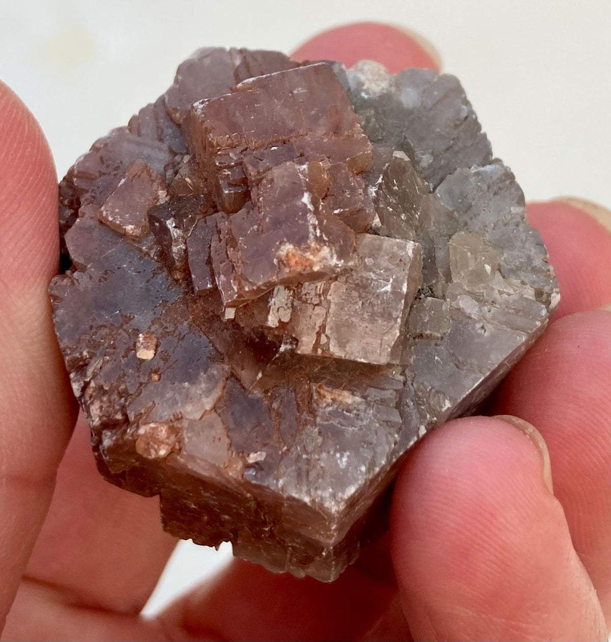 Aragonite Grise et Rouge - Minéral brut