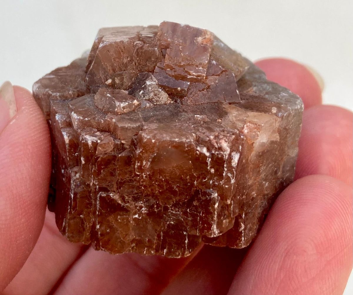 Aragonite Grise et Rouge - Minéral brut