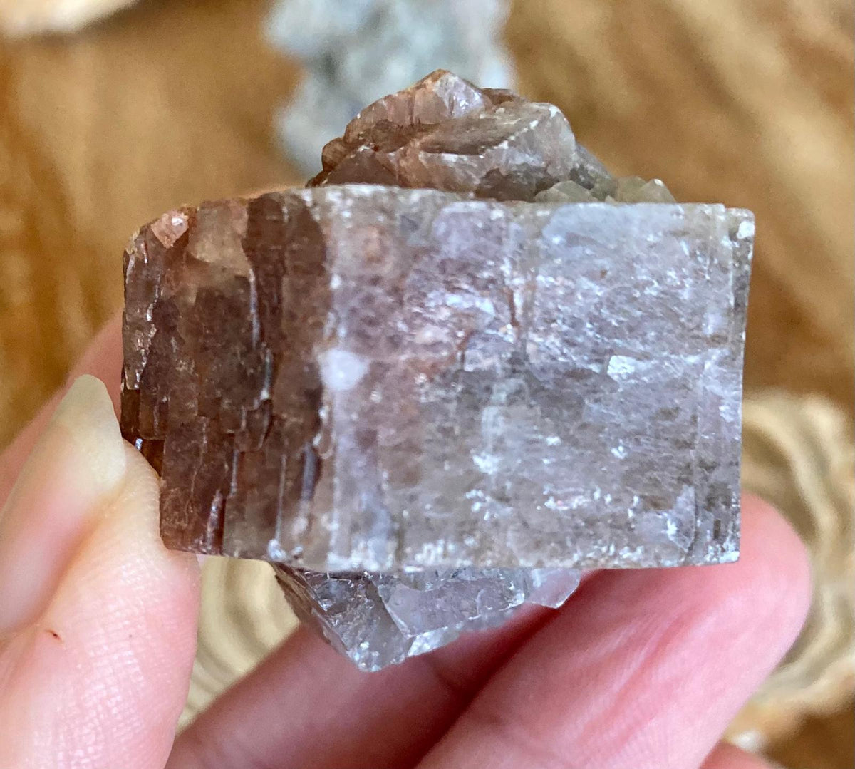 Aragonite Grise et Rouge - Minéral brut