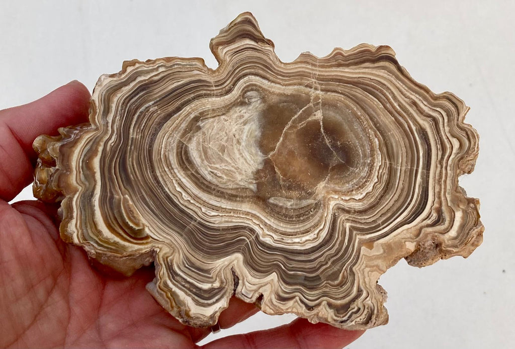 Aragonite Beige Tranche Polie Grande – Maroc