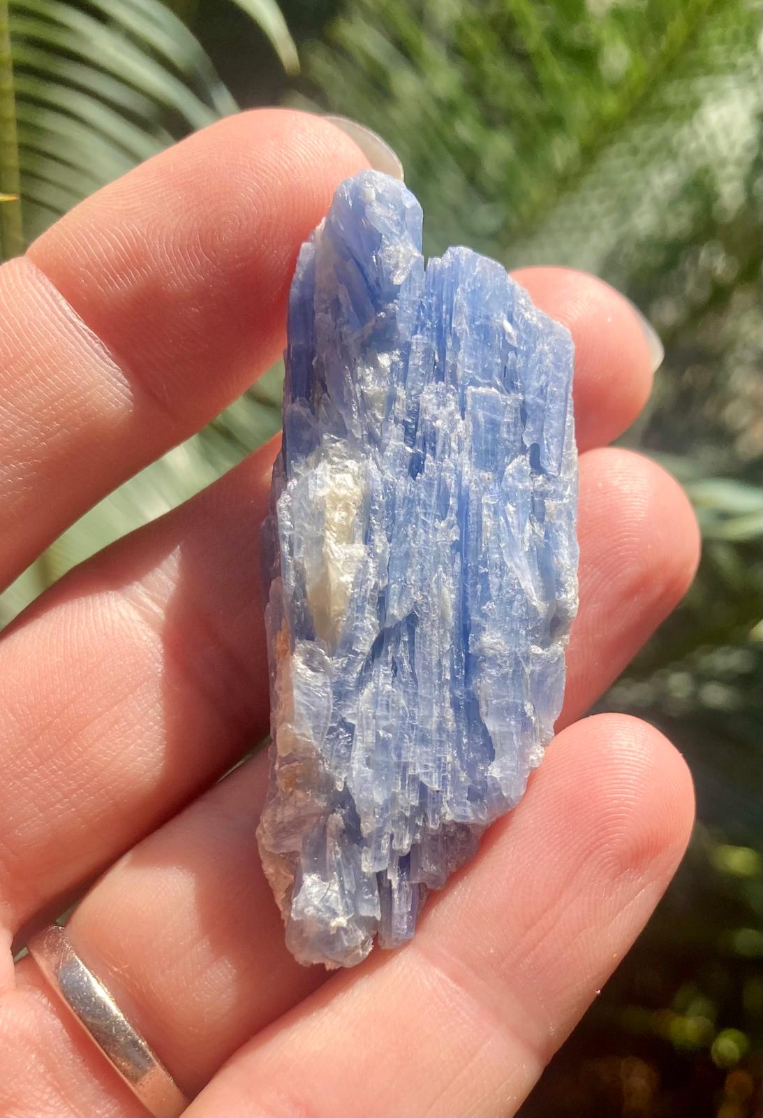 Cyanite Bleue Brute – Provenance Brésil
