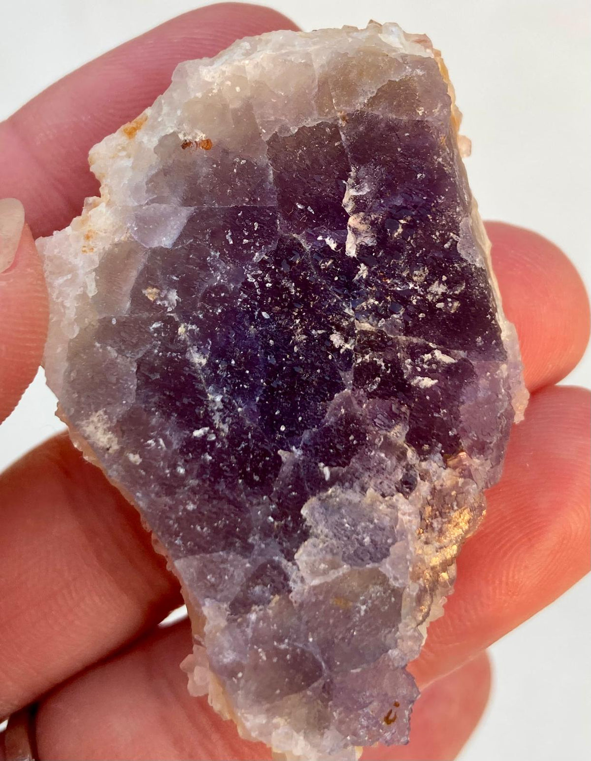 Fluorite Violette – Mine de Fontsante, Fréjus, Var, France