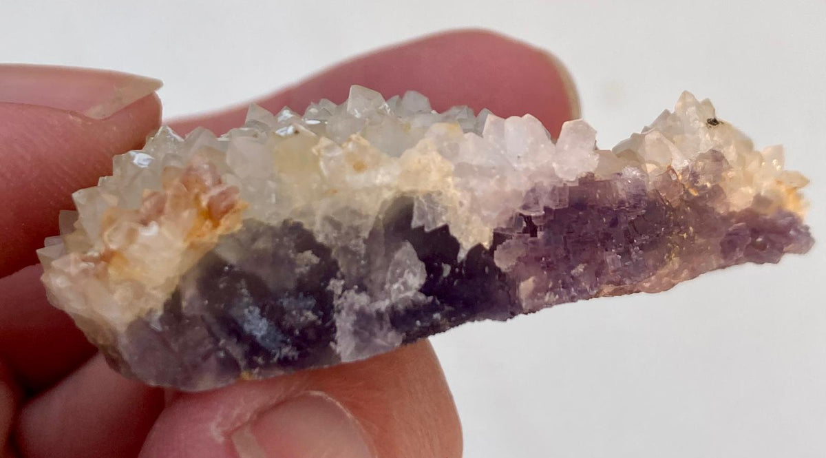 Fluorite Violette – Mine de Fontsante, Fréjus, Var, France