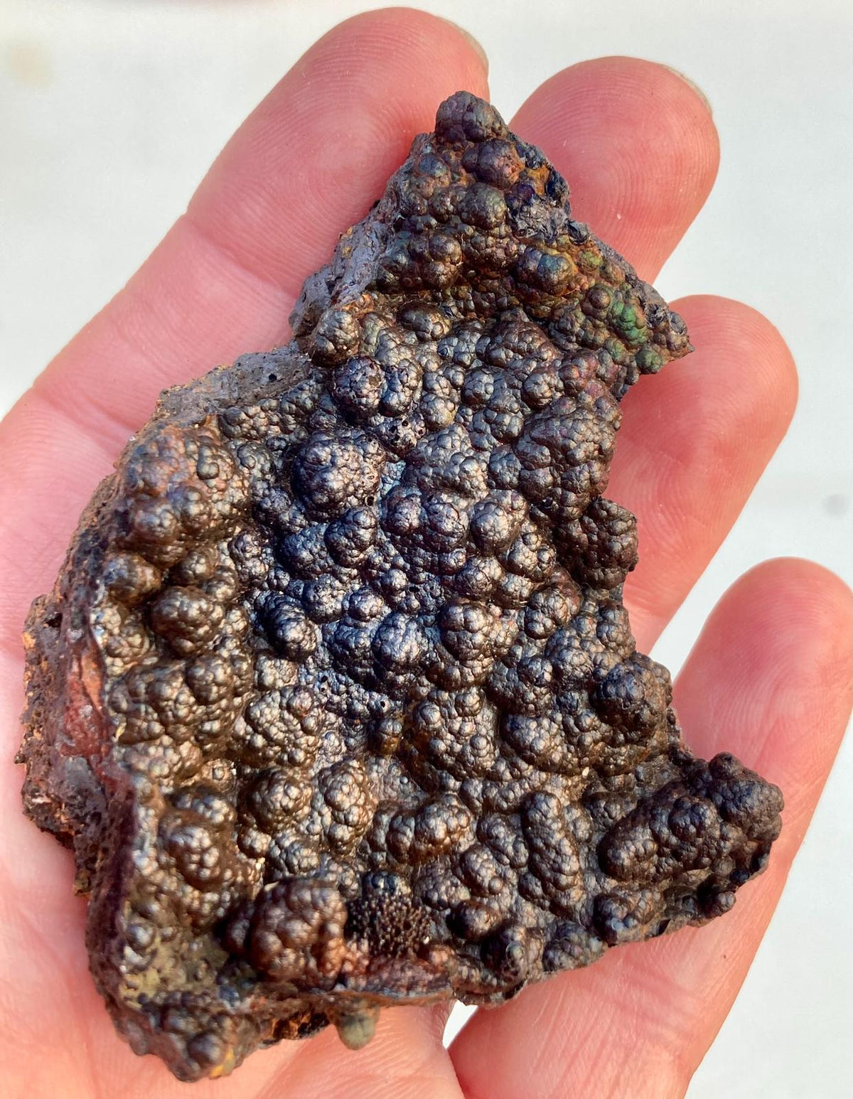 Goethite Irisée – Montroc, Tarn, France
