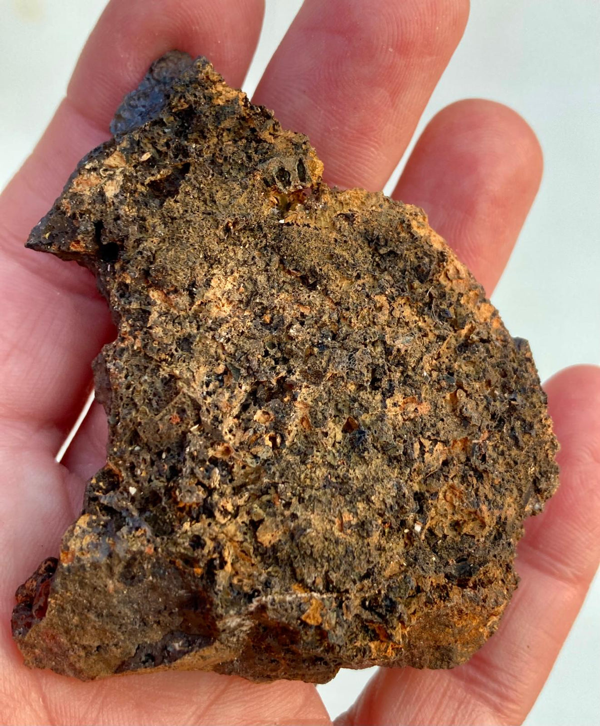 Goethite Irisée – Montroc, Tarn, France
