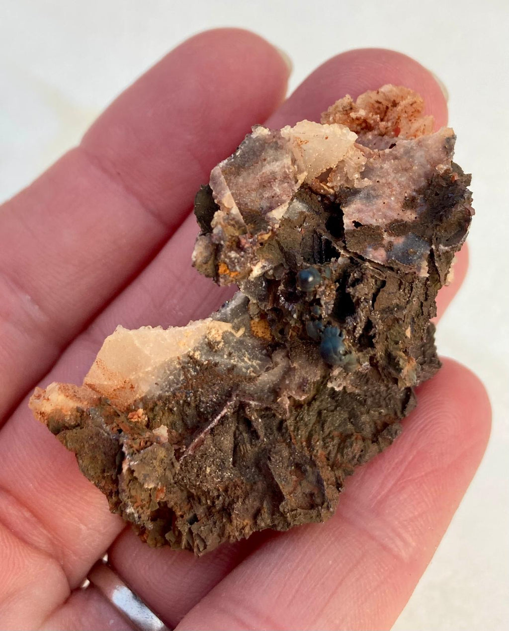 Goethite sur Empreintes de Fluorine – Montroc, Tarn, France