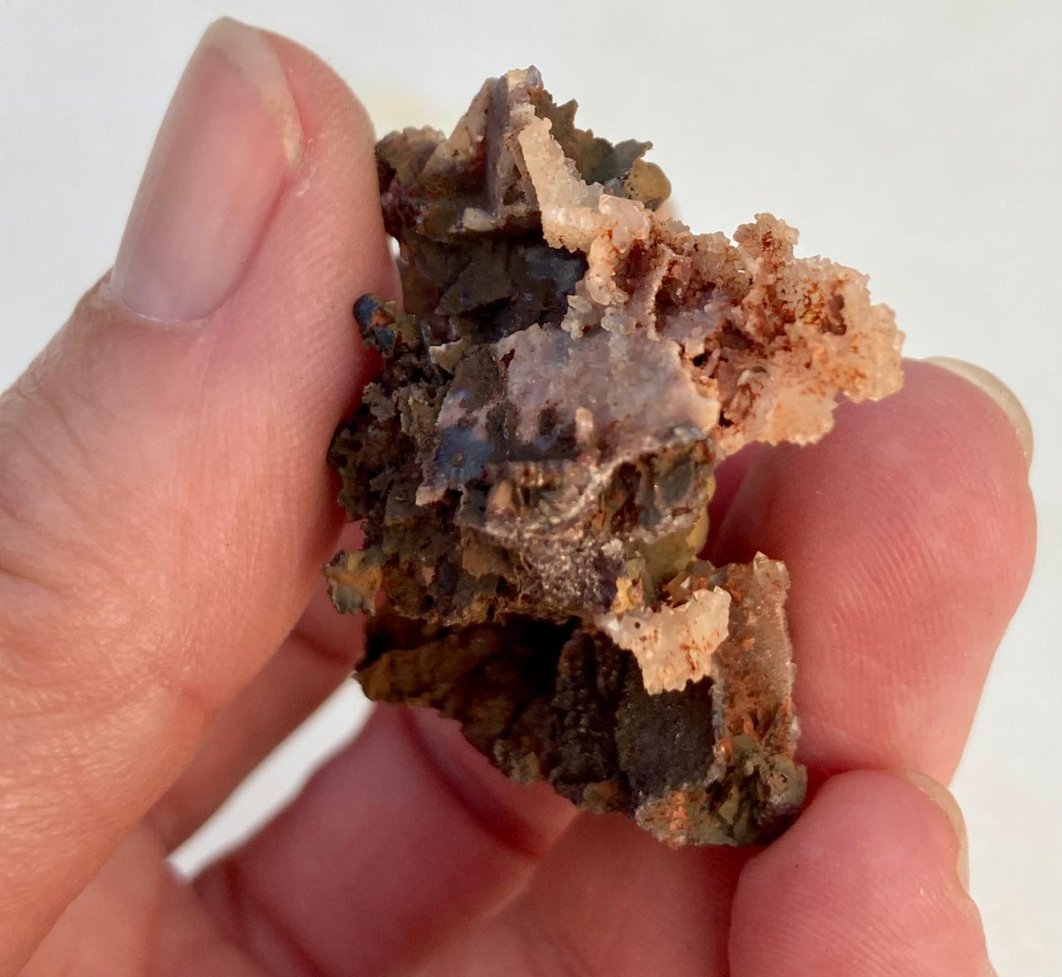 Goethite sur Empreintes de Fluorine – Montroc, Tarn, France