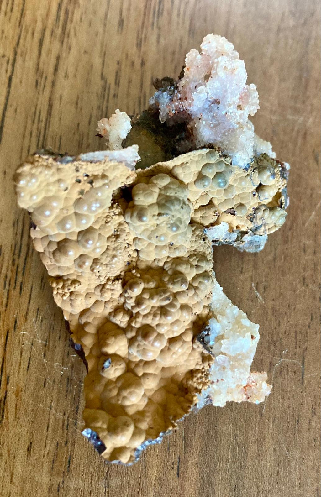 Goethite sur Empreintes de Fluorine – Montroc, Tarn, France