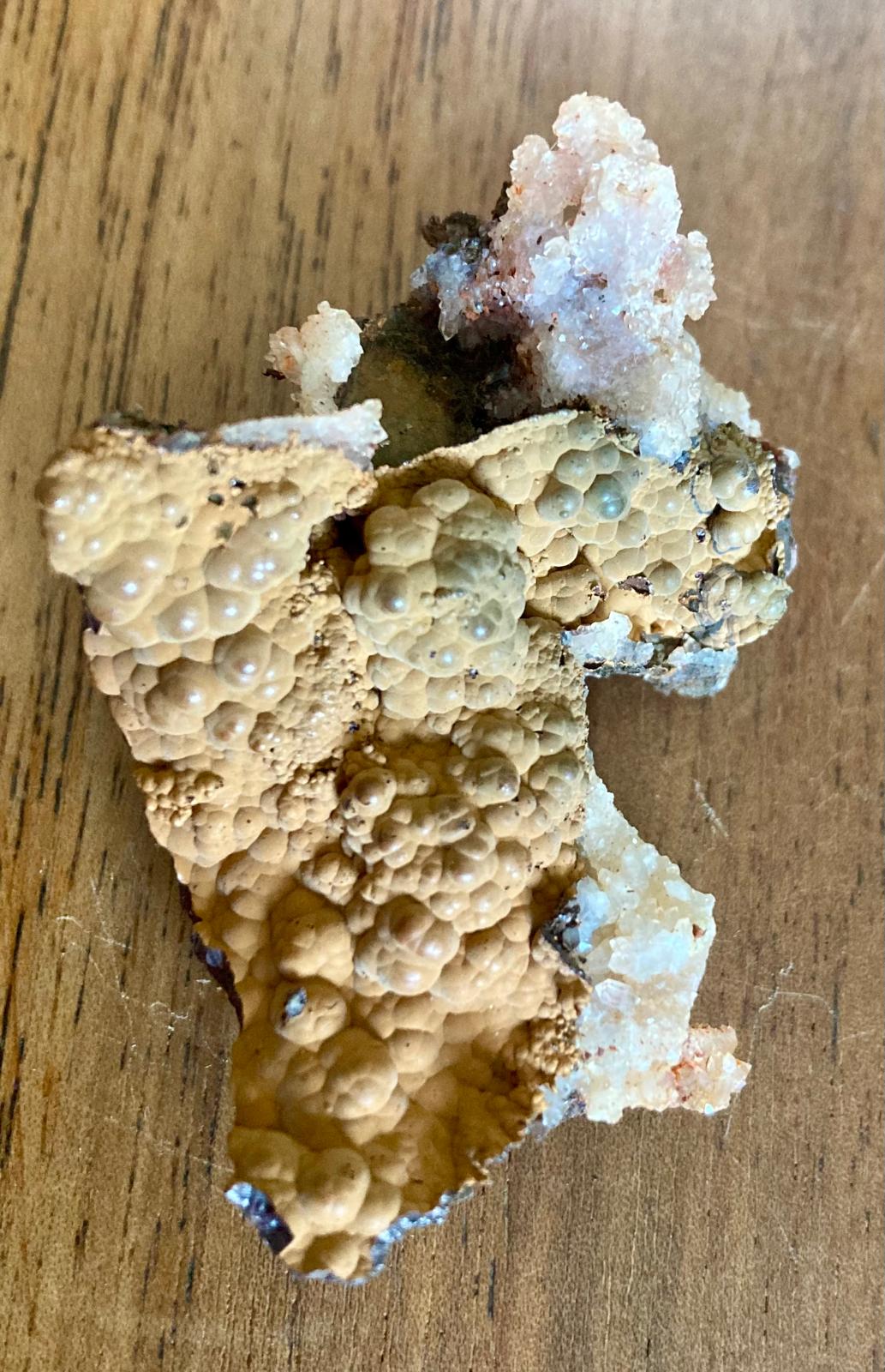 Goethite sur Empreintes de Fluorine – Montroc, Tarn, France