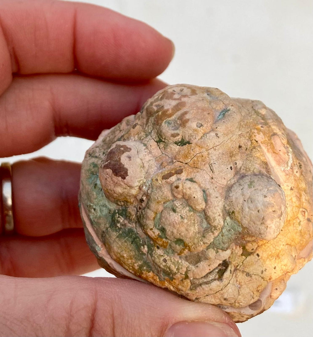 Lithophyse Boule – Les Adrets-de-l'Estérel, Var, France