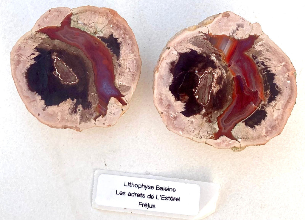 Lithophyse Boule – Les Adrets-de-l'Estérel, Var, France