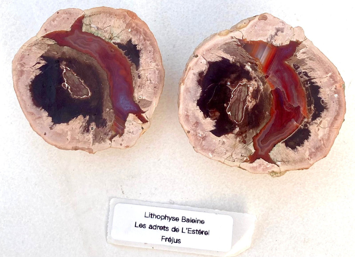 Lithophyse Boule – Les Adrets-de-l'Estérel, Var, France