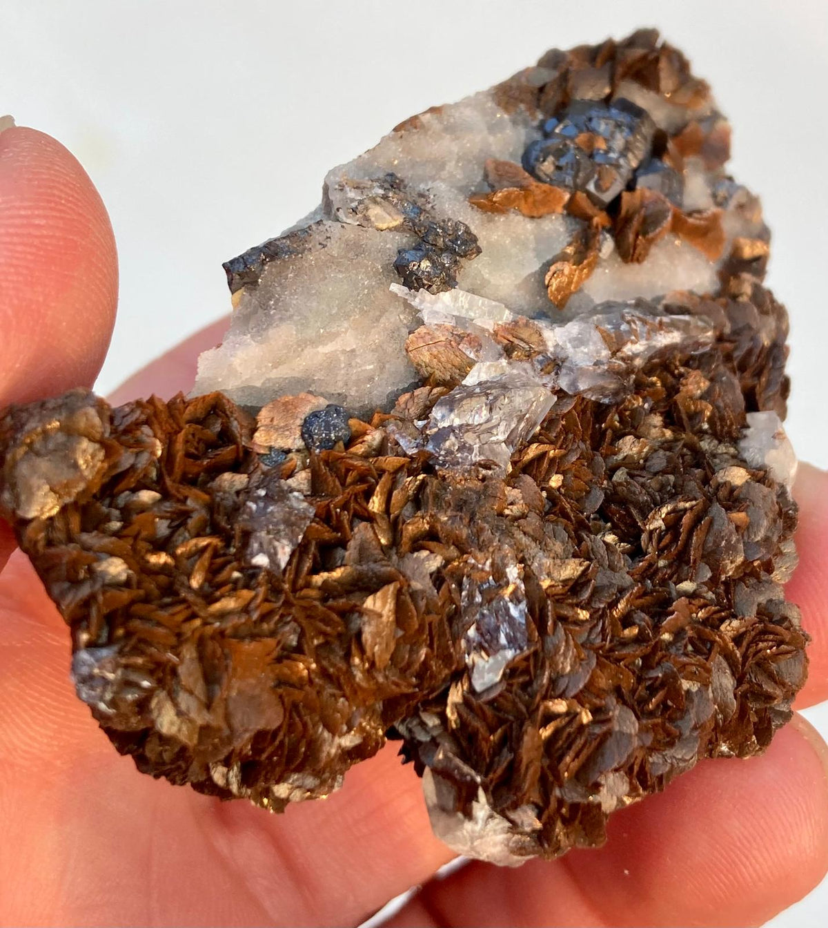 Sidérite sur Baryte – PeyreBrune, Tarn, France