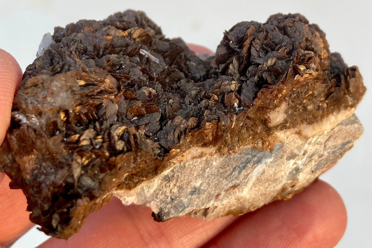 Sidérite sur Baryte – PeyreBrune, Tarn, France