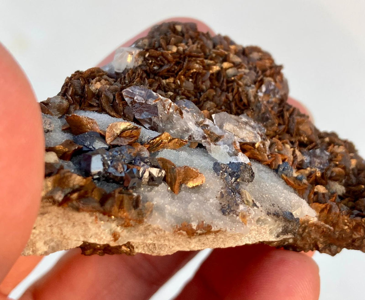 Sidérite sur Baryte – PeyreBrune, Tarn, France