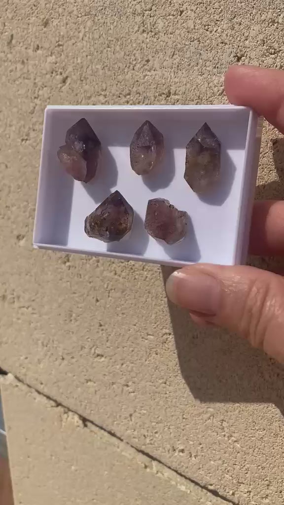Lot de 5 Quartz Améthyste – Saint-Raphaël, Var (France)